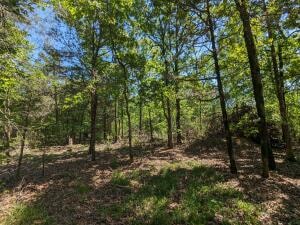 TBD 7A Spring Creek Trail, Cecil, AR 72930 - photo 1