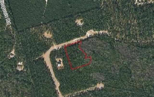 Lot 10 Steeple Chase Ln, Crawfordville, FL 32327 - photo 1