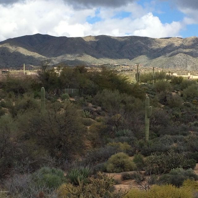 North View