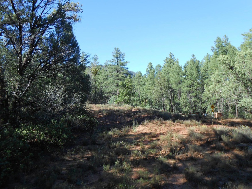 389 W Apache Trail, Pine, AZ 85544 - photo 1
