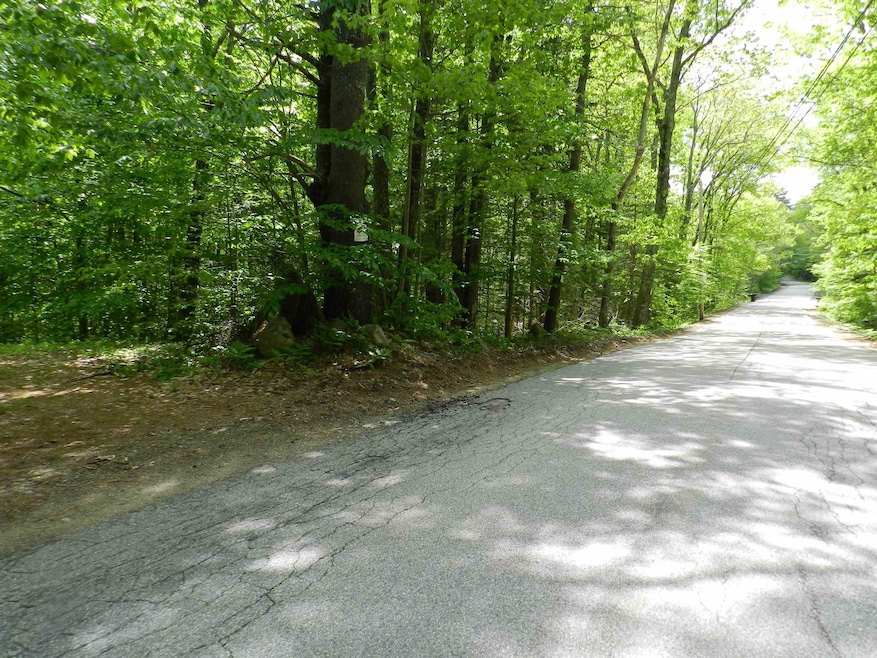 00 Governors Rd, Union, NH 03887 - photo 1