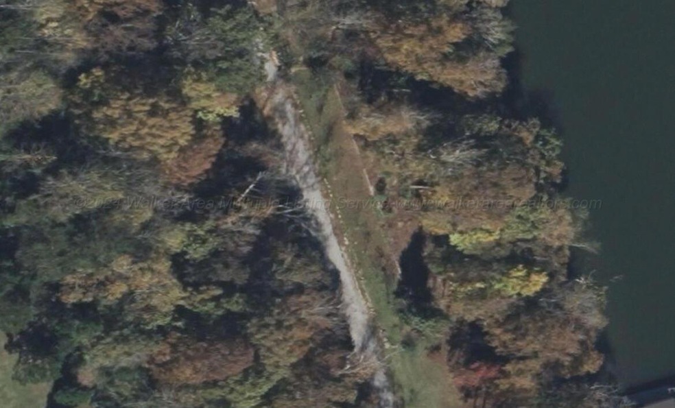 Overview
