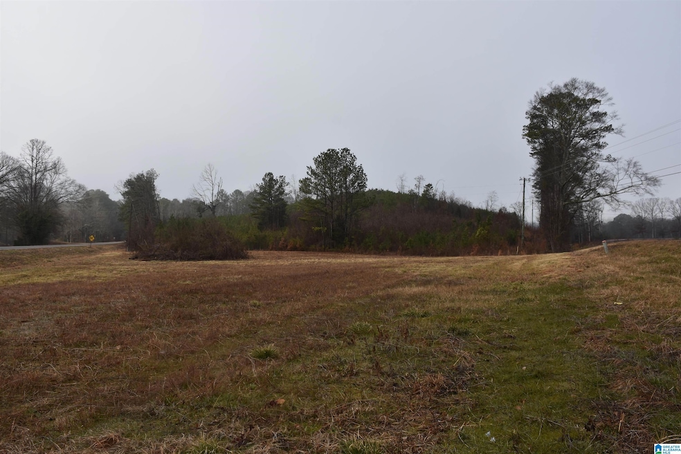 0 Renfroe Rd unit 21407810, Talladega, AL 35160 - photo 1