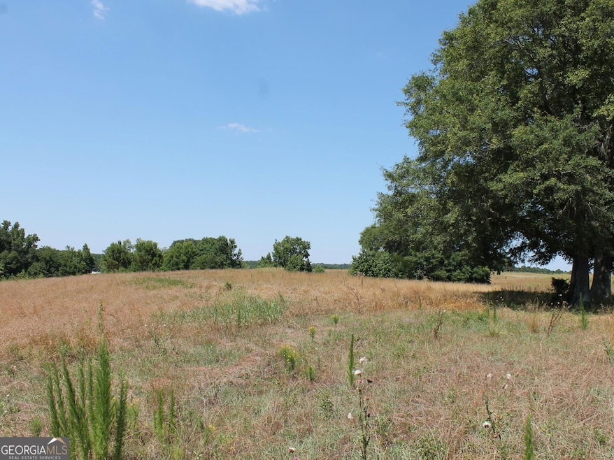 5624 Sandy Creek Rd, Madison, GA 30650 - photo 1