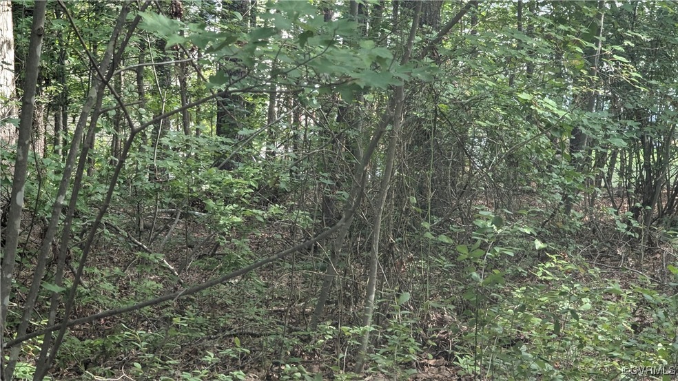 Pic of lot from the road
