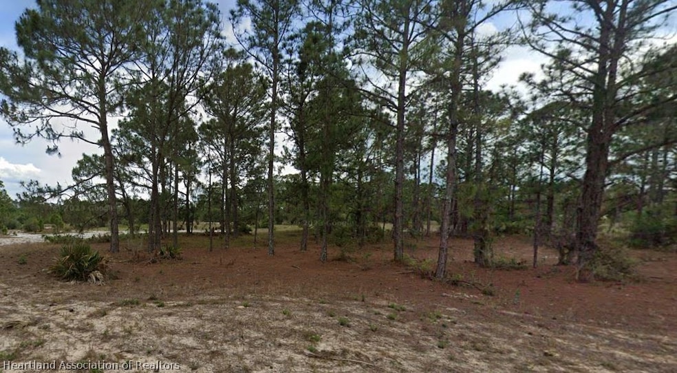 331 Tahiti Ave, Lake Placid, FL 33852 - photo 1