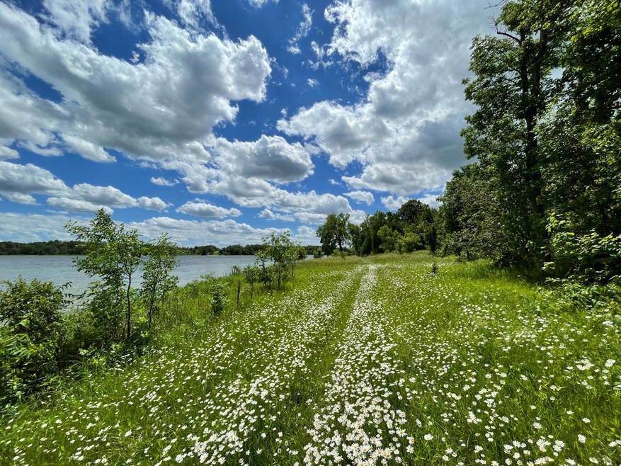 288XX Lot E N Buffalo Lk Rd  