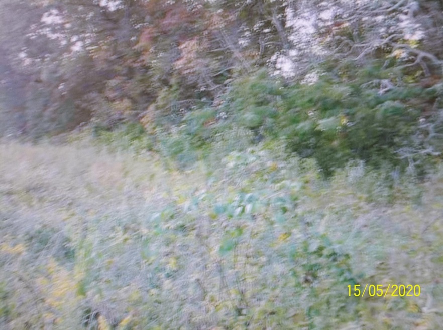 0 Redbird Ln, Rutledge, TN 37861 - photo 1