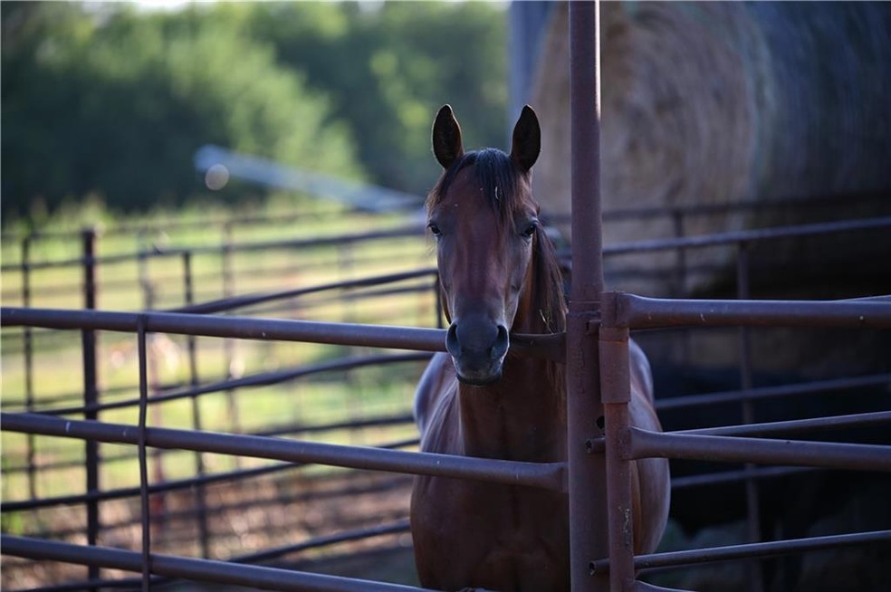 0 E Nn Hwy unit HMS2588822, Milo, MO 64767 - photo 1
