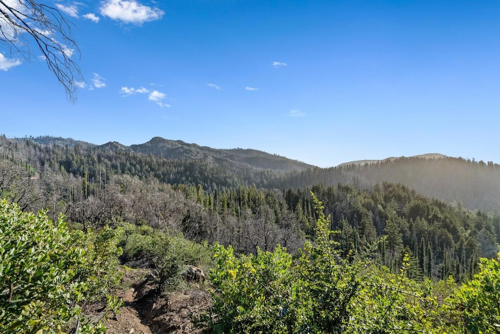 For Sale $1,500,000 • Co-Listing Agent