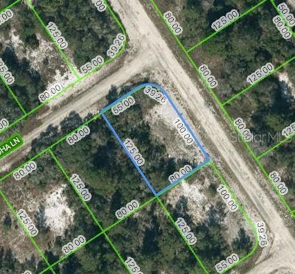 459 Aloha Ave, Lake Placid, FL 33852 - photo 1