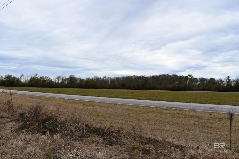 0 Daugherty Rd unit Lot 5, Foley, AL 36535 - photo 1