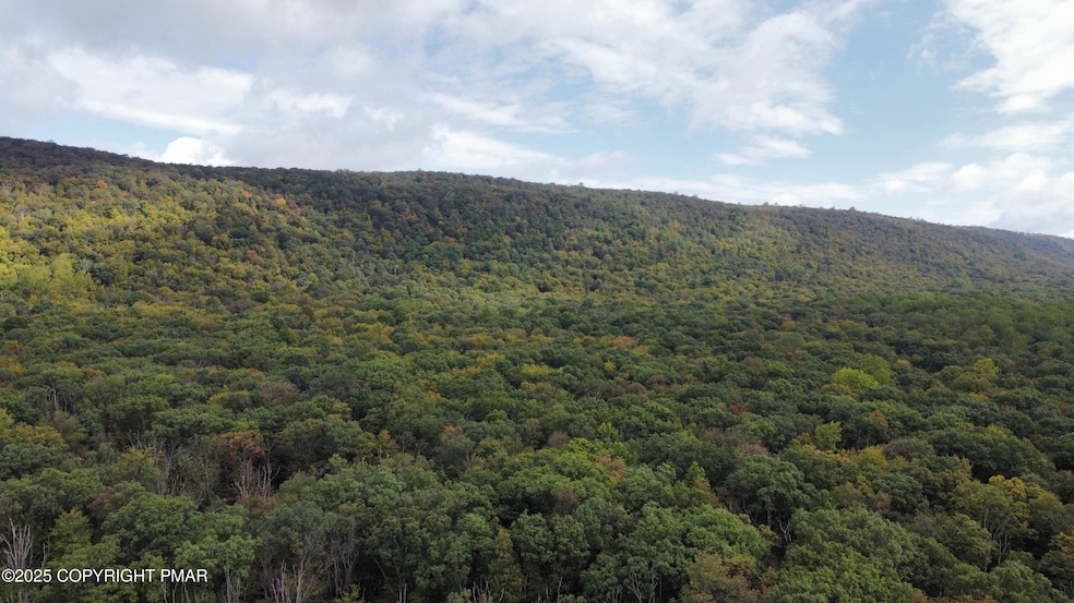 dji_fly_20250926_103200_197_175891989072