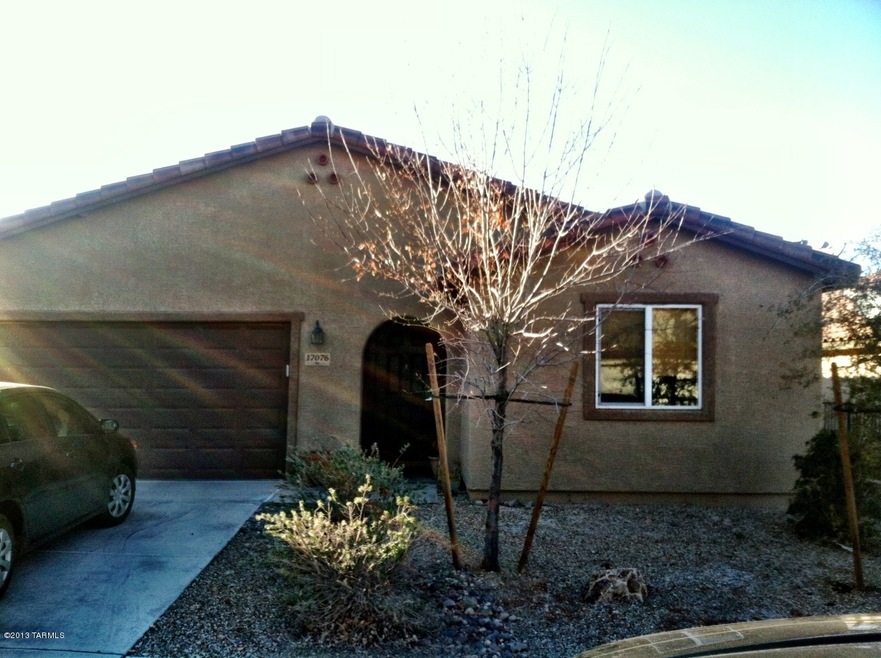 Photo1