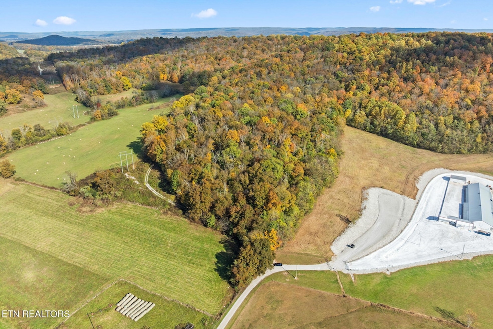 1-web-or-mls-moore-cove-rd