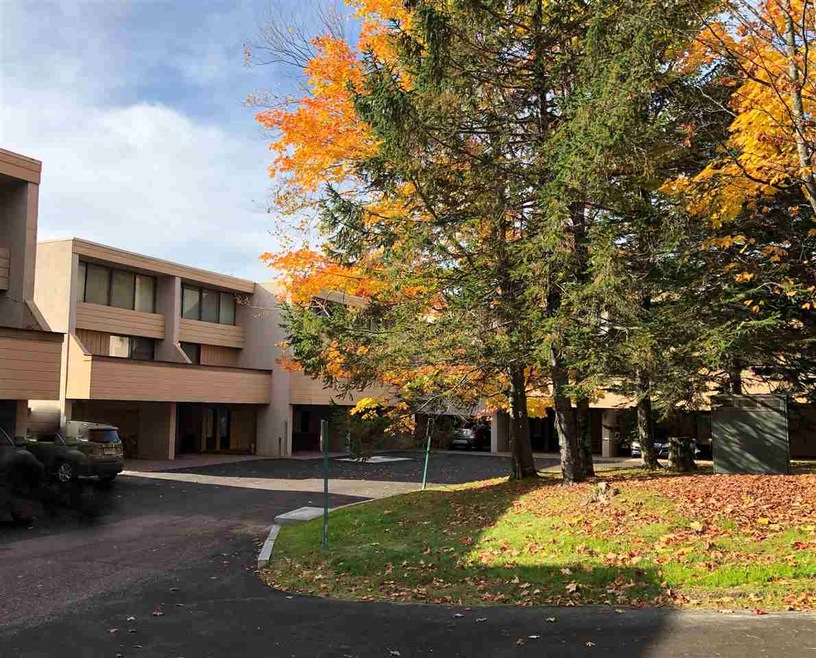 1227 Notchbrook Rd unit 28CS, Stowe, VT 05672 - photo 1