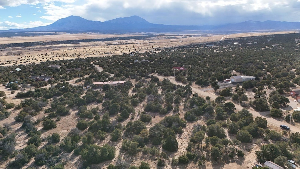 0 Lot 147 Navajo Ranch Estates, Walsenburg, CO 81089 - photo 1