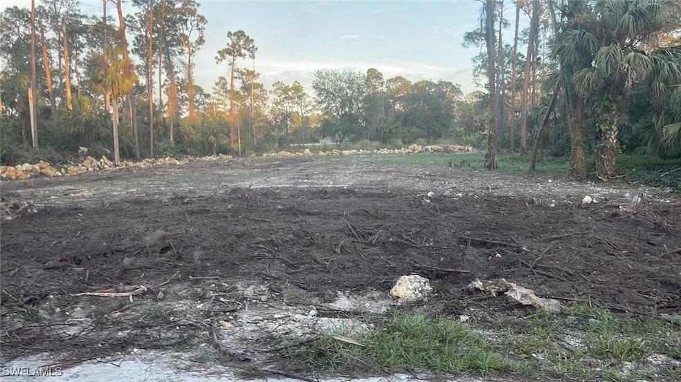 2004 Canton Ave, Alva, FL 33920 - photo 1