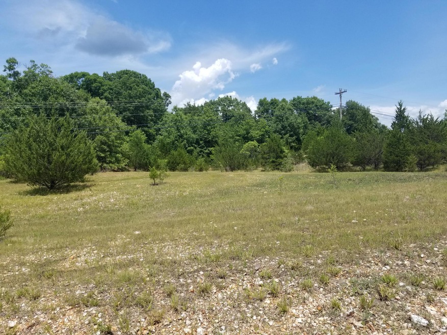Lot 36 Buttonwood, Kimberling City, MO 65686 - photo 1