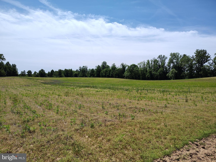 13251 Croom Rd, Upper Marlboro, MD 20772 - photo 1