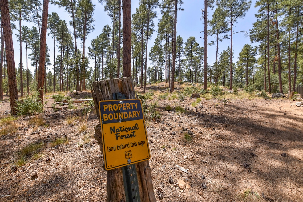 National Forest Boundary