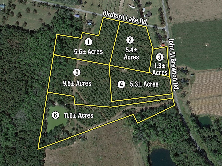 Birdford Lake Rd, Glennville, GA 30427 - photo 1