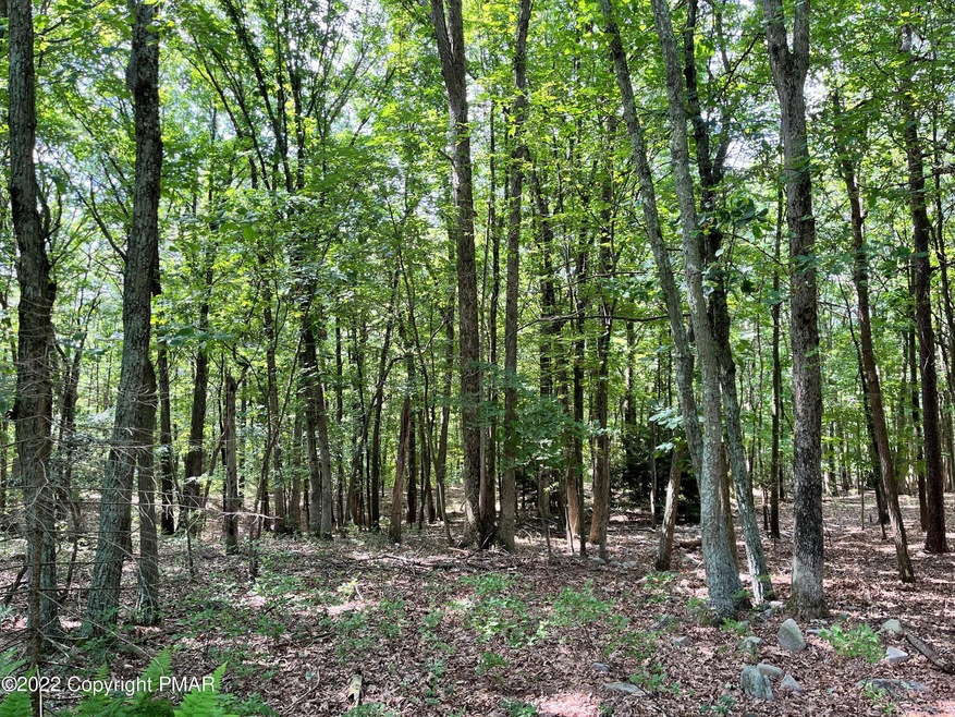 0 W Thirteenth St unit PM-95295, Jim Thorpe, PA 18229 - photo 1