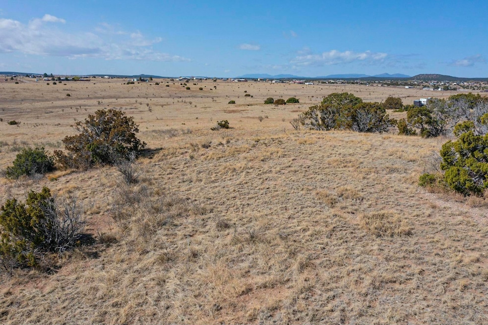 57 Luke Rd, Moriarty, NM 87035 - photo 1