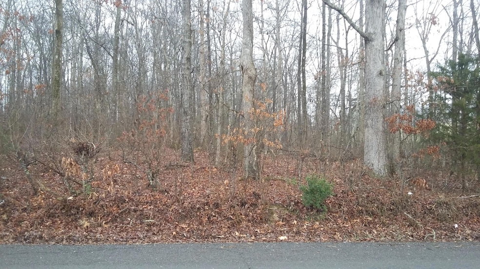 Front Road View