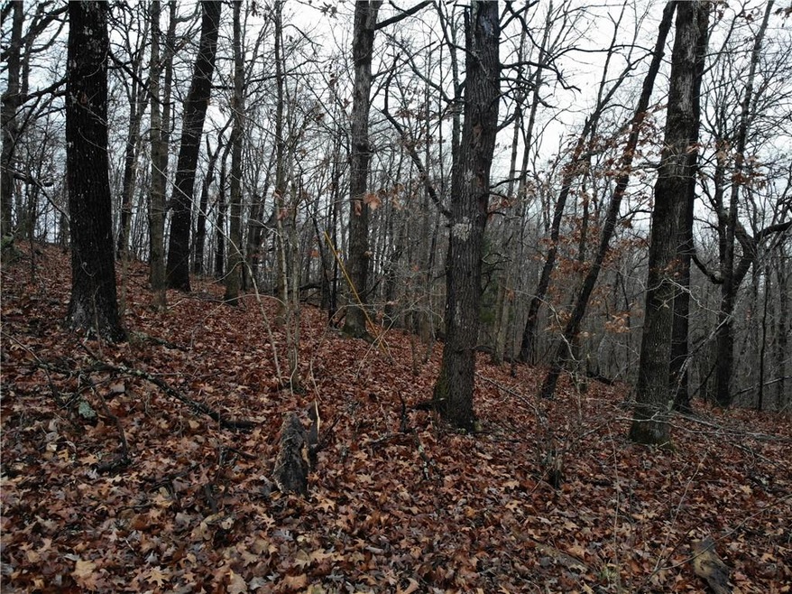 Lot 92 Pickering Dr, Bella Vista, AR 72714 - photo 1