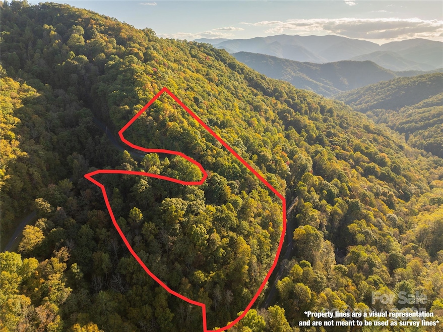 Lot 39 Brush Creek Mountain Rd unit 39, Bryson City, NC 28713 - photo 1