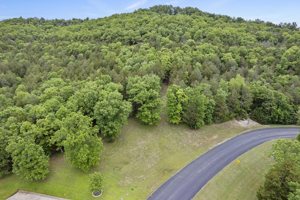 1-web-or-mls-DJI_0147