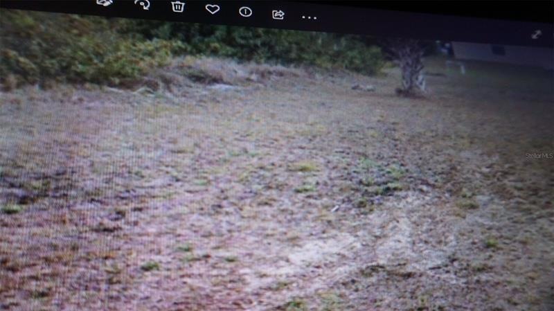 3817  Vacant Lot