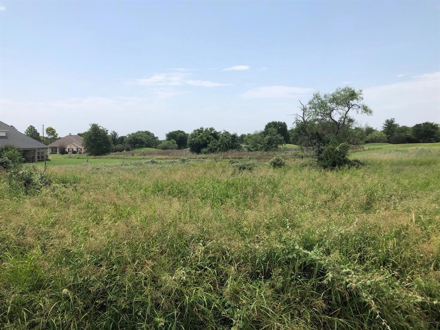 22087 Misty Hollow Ct, Whitney, TX 76692 - photo 1