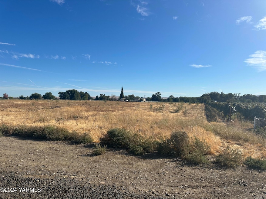 NKA Branch Rd, Toppenish, WA 98948 - photo 1