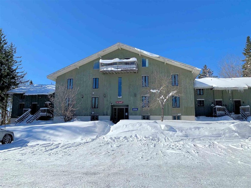 53 Birches Way unit BB2, Peru, VT 05152 - photo 1