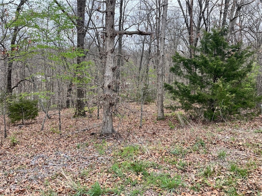 0 Sandhurst Dr, Bella Vista, AR 72714 - photo 1