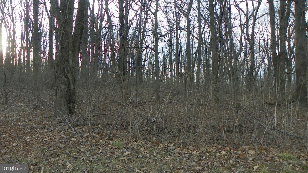 12 Axton Ln, Linden, VA 22642 - photo 1