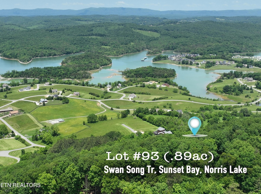Lot 93 Swan Song Tr, Sharps Chapel, TN 37866 - photo 1