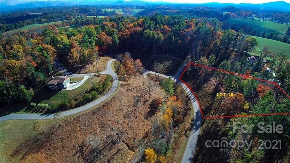 81 Timber Ridge Cir unit LOT 18, Leicester, NC 28748 - photo 1