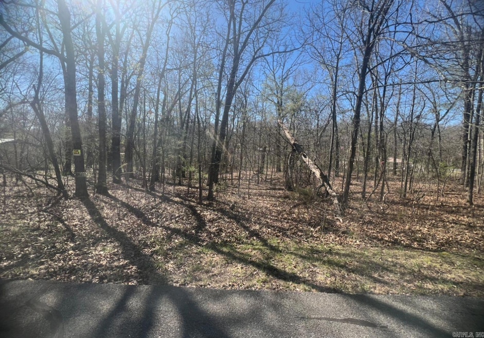 105 Opal Ln, Horseshoe Bend, AR 72512 - photo 1