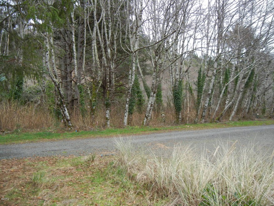 Lot is across the street