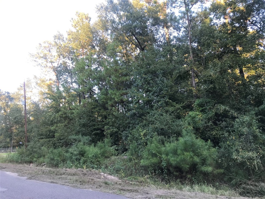 12535 Anmar Dr, Cleveland, TX 77328 - photo 1