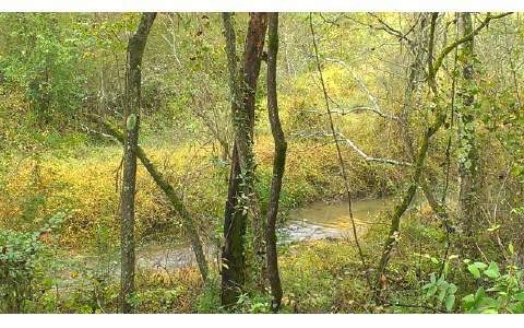 0 Parks Rd unit 243639, Ellijay, GA 30540 - photo 1