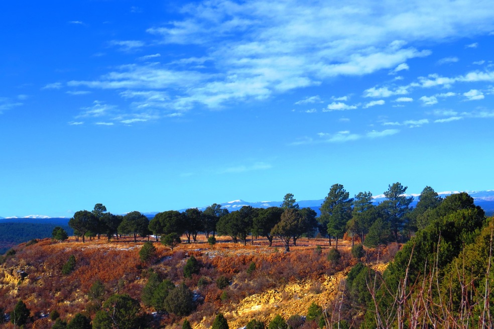 0 Timber Ridge Ln unit B29-30 16-1135, Trinidad, CO 81082 - photo 1