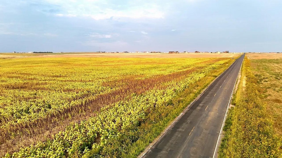 40500 E 144th Ave, Hudson, CO 80642 - photo 1