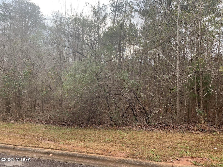 119 Stoney Creek Dr, Macon, GA 31220 - photo 1