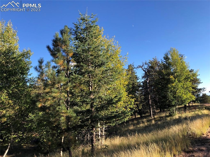 Sold $33,000 • Co-Listing Agent