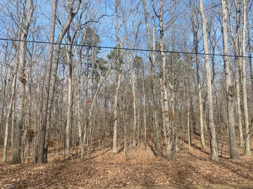 Tract 2 Monroe Ave, Asheboro, NC 27205 - photo 1