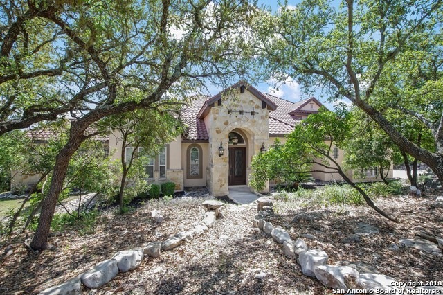 710 Vegas Rio, Helotes, TX 78023 - photo 1